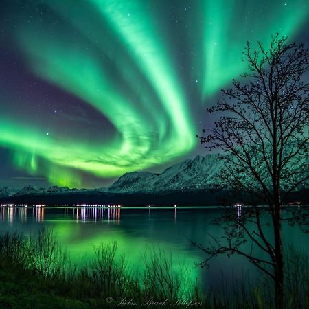 Lena Apartment Tromso Kvaloya Kültér fotó